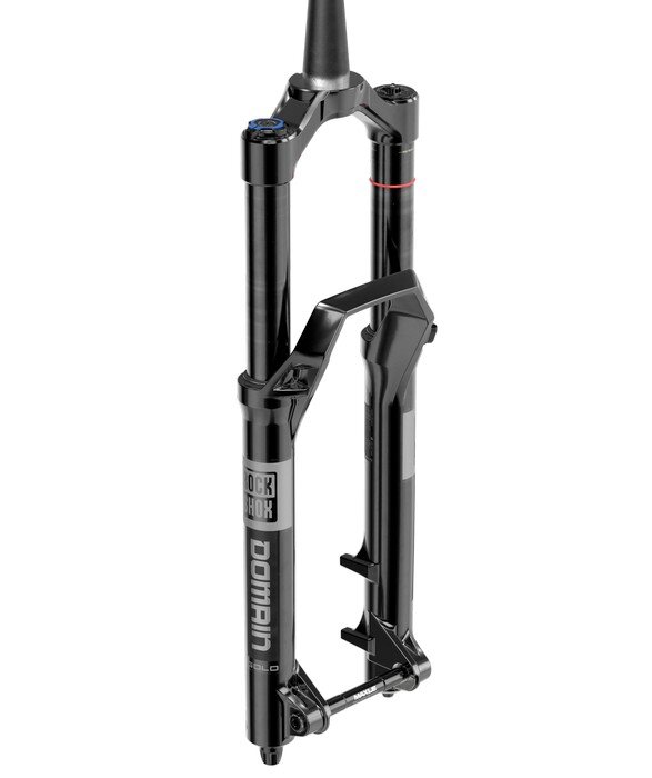 Gaffelservice Rockshox Domain